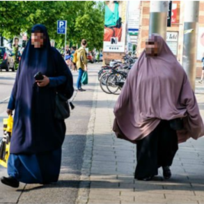 Den Korte Avis | Finansministeriet: En indvandrer fra ikkevestlige muslimske lande koster i gennemsnit 74.000 kroner