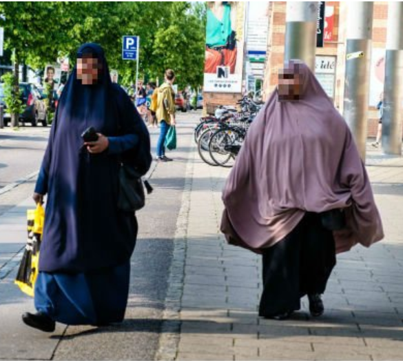 Den Korte Avis | Finansministeriet: En indvandrer fra ikkevestlige muslimske lande koster i gennemsnit 74.000 kroner