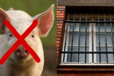 Den Korte Avis | Muslimske fange gennemtvinger forbud mod svinekød i danske fængsler – nu begynder politikere at tale åbent om dominansadfærd og herskerattitude