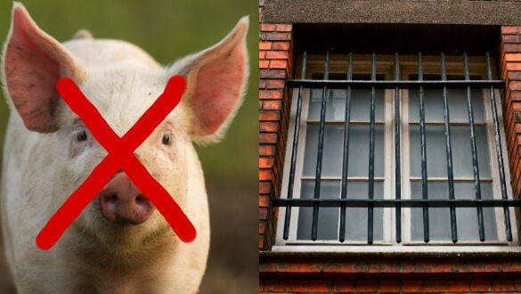 Den Korte Avis | Muslimske fange gennemtvinger forbud mod svinekød i danske fængsler – nu begynder politikere at tale åbent om dominansadfærd og herskerattitude