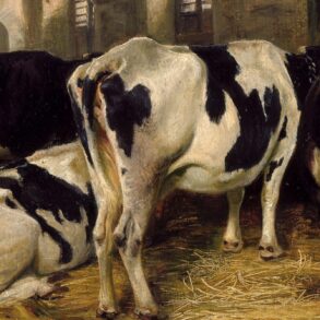 Fjøs-interiør (1856).