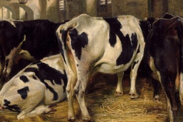 Fjøs-interiør (1856).