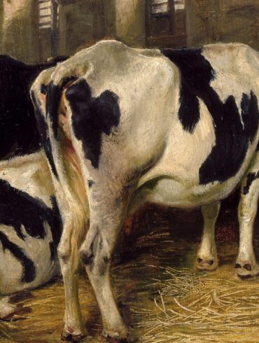 Fjøs-interiør (1856).