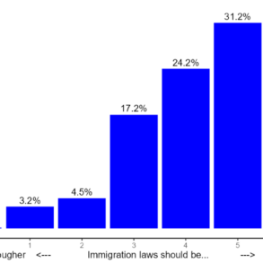 Forskningen i indvandring har massiv politisk slagside