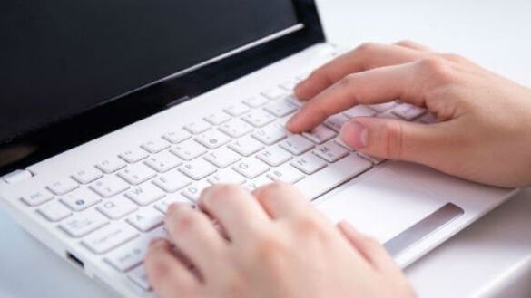 Indlæg fra læserne: Politikernes uvidenhed og selvopholdelsesdrift