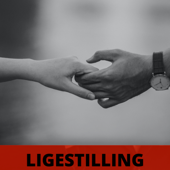 Myten om den danske ligestilling (2026) – 24NYT