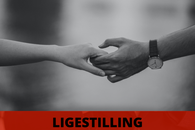 Myten om den danske ligestilling (2026) – 24NYT