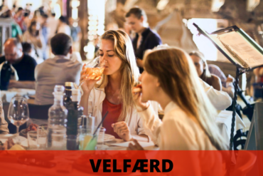 Myten om det danske velfærdssamfund (2026) – 24NYT