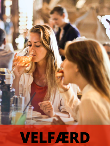 Myten om det danske velfærdssamfund (2026) – 24NYT