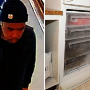 Sverige: Afghansk migrant havde fryseren fuld af menneskekød