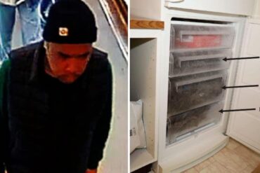 Sverige: Afghansk migrant havde fryseren fuld af menneskekød