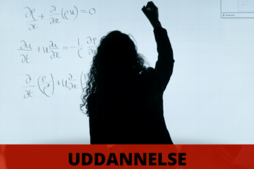 Dansk masseuniversitet i frit fald (2026) – 24NYT