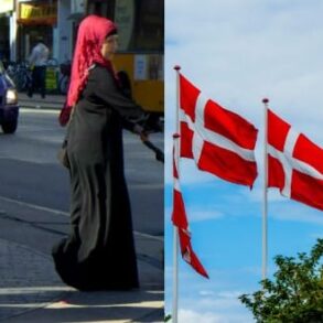 Den Korte Avis | 3000 udlændinge står til at få dansk statsborgerskab – “det er national selvskade og skal sættes på pause”, siger iagttager