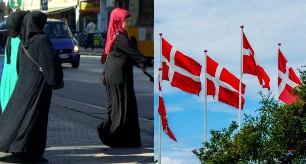 Den Korte Avis | 3000 udlændinge står til at få dansk statsborgerskab – “det er national selvskade og skal sættes på pause”, siger iagttager