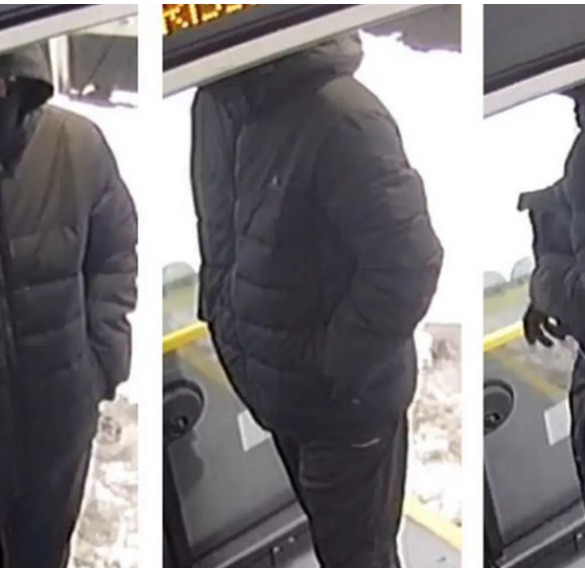 Den Korte Avis | Buschauffør blev stukket ned med kniv i Aarhus – gerningsmand, mørk i huden, talte dansk med accent