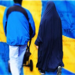 Den Korte Avis | Sverige vil udelukke migranter, der ikke kan tale svensk, fra statsborgerskab