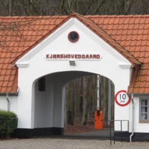 Den Korte Avis | Tre anholdt efter mistanke om falske penge – alle tre mænd er beboere på det omdiskuterede Udrejsecenter Kærshovedgård