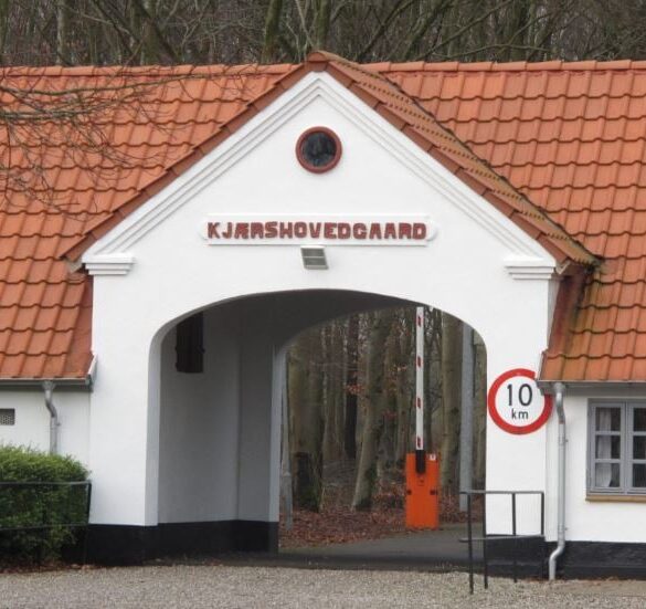 Den Korte Avis | Tre anholdt efter mistanke om falske penge – alle tre mænd er beboere på det omdiskuterede Udrejsecenter Kærshovedgård