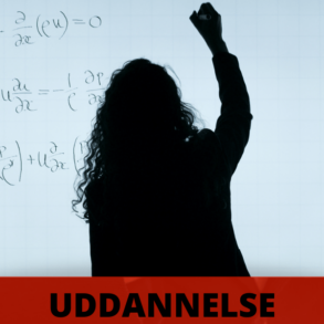 Gymnasieskolens langsomme kollaps (2026)