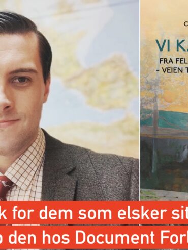 Schwab giver Børge Brende skylden, han mener at han selv har sagerne i orden