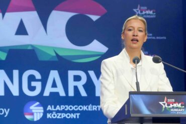 Alice Weidel om Zelenskyys trusler mod Orbán: “Dæmningen er sprængt i Europa”