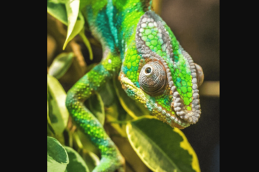 Den Korte Avis | Når der skal ske noget nyt og anderledes