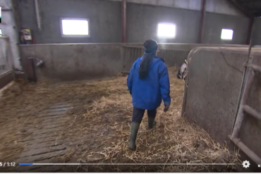 Den Korte Avis | Praktikanter i landbruget kommer især fra disse lande