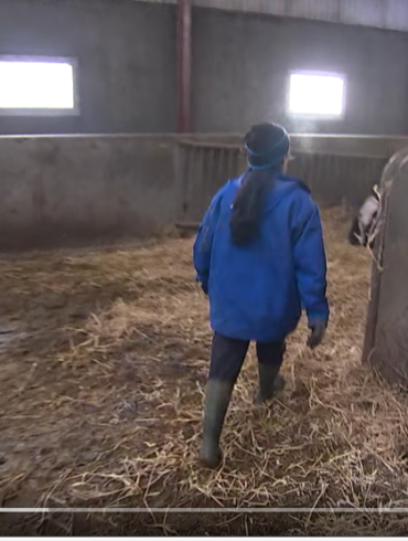 Den Korte Avis | Praktikanter i landbruget kommer især fra disse lande