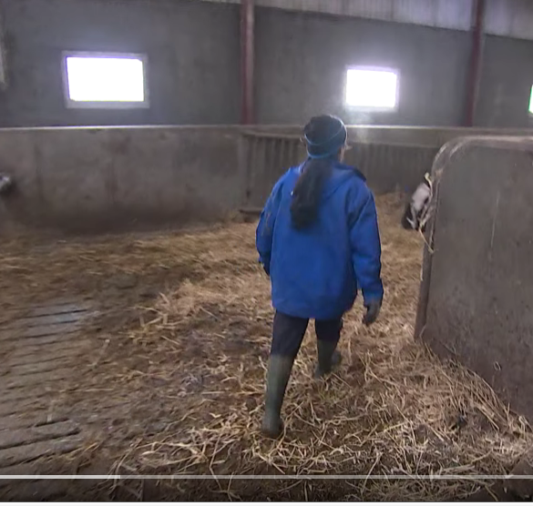 Den Korte Avis | Praktikanter i landbruget kommer især fra disse lande