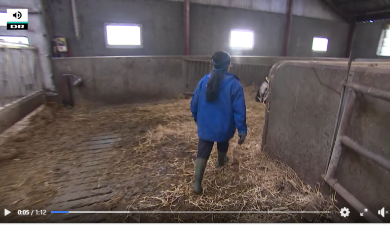 Den Korte Avis | Praktikanter i landbruget kommer især fra disse lande