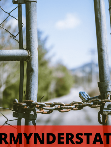 Formynderstaten i vild vækst (2026) – 24NYT