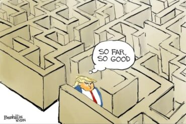 “Verden i sikre hænder” – Snaphanen.dk