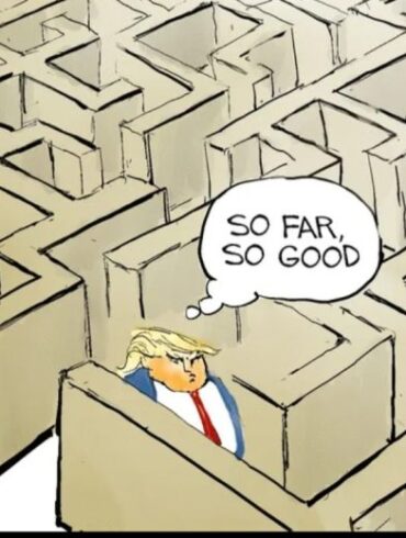 “Verden i sikre hænder” – Snaphanen.dk