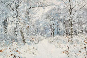 Vinterdag i Skoven med nyfalden Sne (1893).